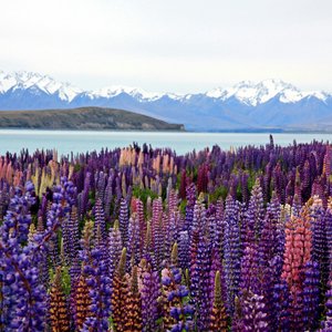 Viajes Gluten Free photo 3