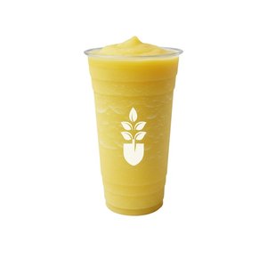 Açaí Garden photo 4
