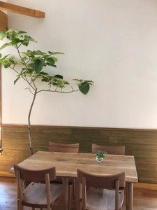 Big Mountain Cafe＆Farm（Gluten Free ＆ Vegan） photo 3