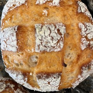 Breadish Gluten Free Bakery photo 4