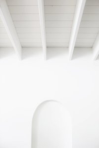 Colita photo 3