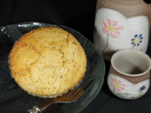 Earth's Oven photo 1