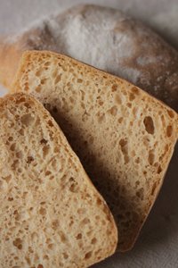 Escorza sin gluten photo 1