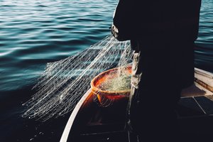 Fisk & Frite photo 5