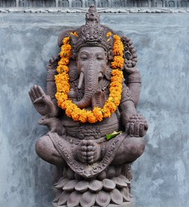 Ganesh Dosa photo 2