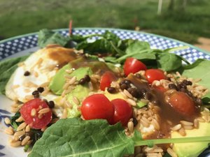 Gluten-Free Prairie photo 3