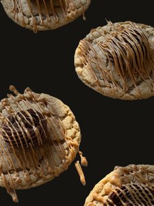 Mars Gluten Free Bakery photo 2