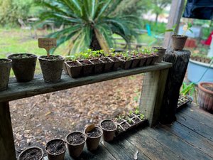 Natural Living Food Co-op and Cafe photo 3