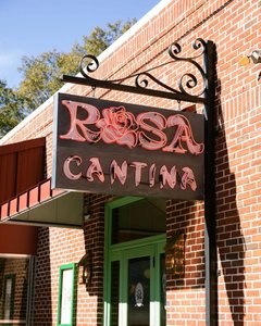 Rosa photo 3