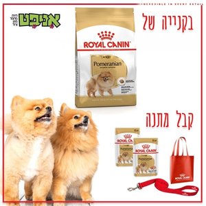 שף יניב צמח מאפים ללא גלוטן photo 3